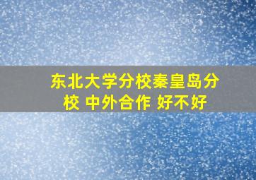 东北大学分校秦皇岛分校 中外合作 好不好